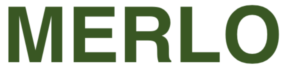 Merlo Dichtungssatz Hydr. 121772