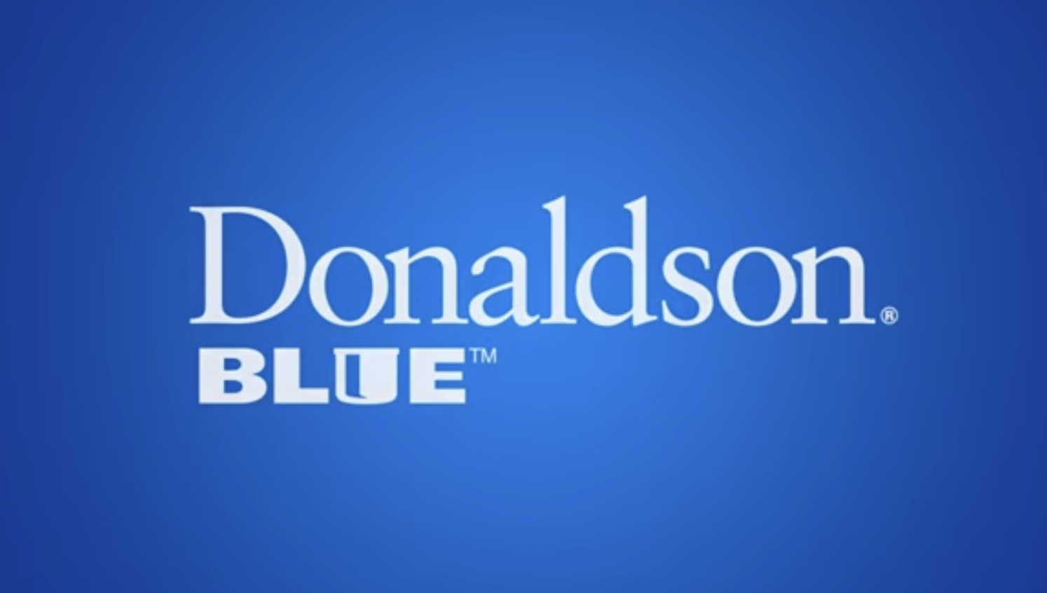 Donaldson Blue Bulk Kraftstofffilter DBB8666